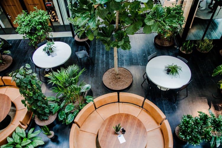 EDGE Olympic – Sustainable Coworking Amsterdam Zuid - Amsterdam Desks